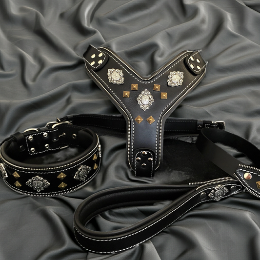 "AZTEC" BIG dog SET - Harness - collar - lead. Black